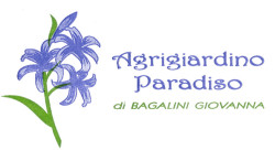 agrigiardino_senza_margine